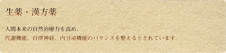 ʹμϤᡢյǽΧСʬ絡ǽΥХ󥹤ȤƤޤ