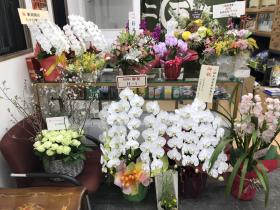 �����μ̿��ˤʤ�ޤ�