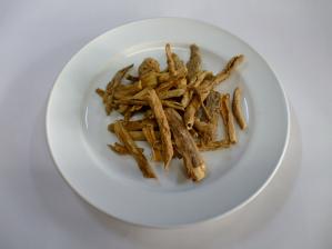 �Ϲ��顡�ñꡡ��Ǣ