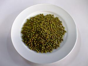 緑豆（りょくず）　清熱　解毒　利水