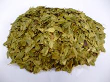 ���復�륷������ꡢǢ�̸���