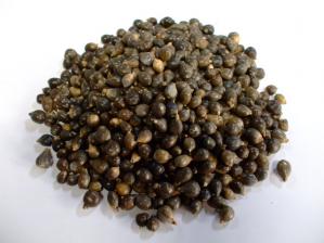 �褯��Ρʥϥȥ८����