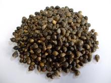 �褯��Ρʥϥȥ८����