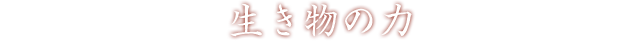 生き物の力