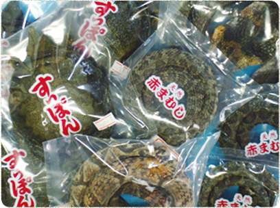 生き物の生命力をいただく