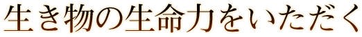 生き物の生命力をいただく