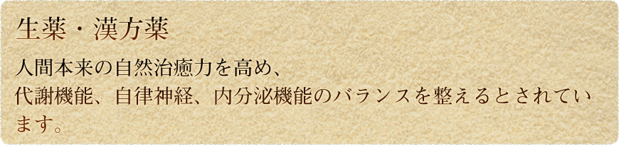 二条通はくすり街