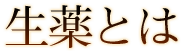 二条通はくすり街