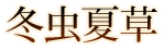 冬虫夏草